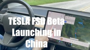 Tesla Will Distribute FSD Beta in China