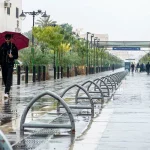 Makkah Mountains Goes Green Following Continuous Rains