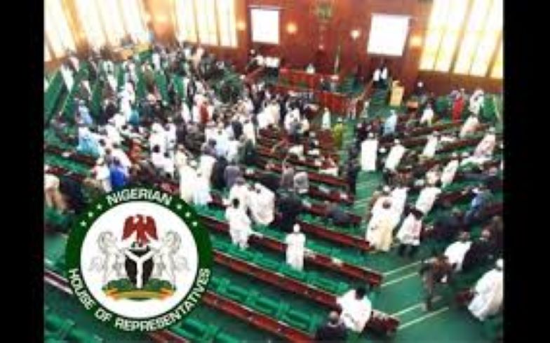 House of Reps pledges to probe Nigeria Air project; laments insecurity in FCT