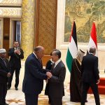 Israel aims to push Palestinians out of Gaza: Shoukry