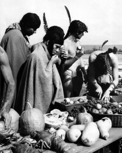 Thanksgiving stories gloss over the history of US settlement on Native lands