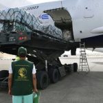 11th Saudi relief plane for Gaza Arrives in El Arish Airport 