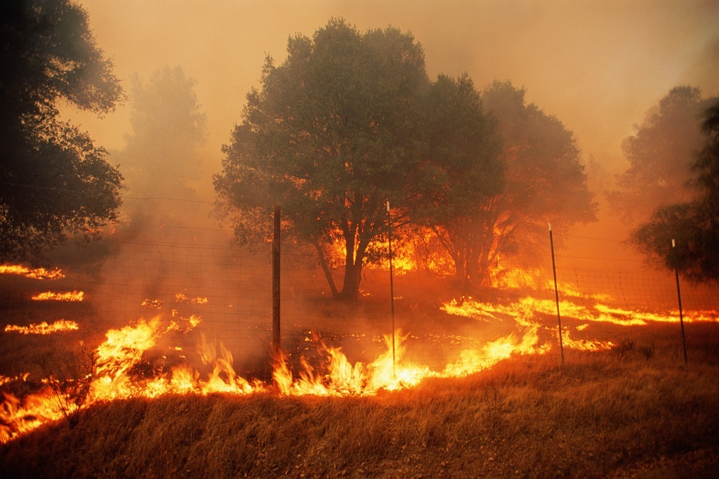 News24 | Thursday’s weather: Fire danger in some parts of the country as a heatwave persists inland