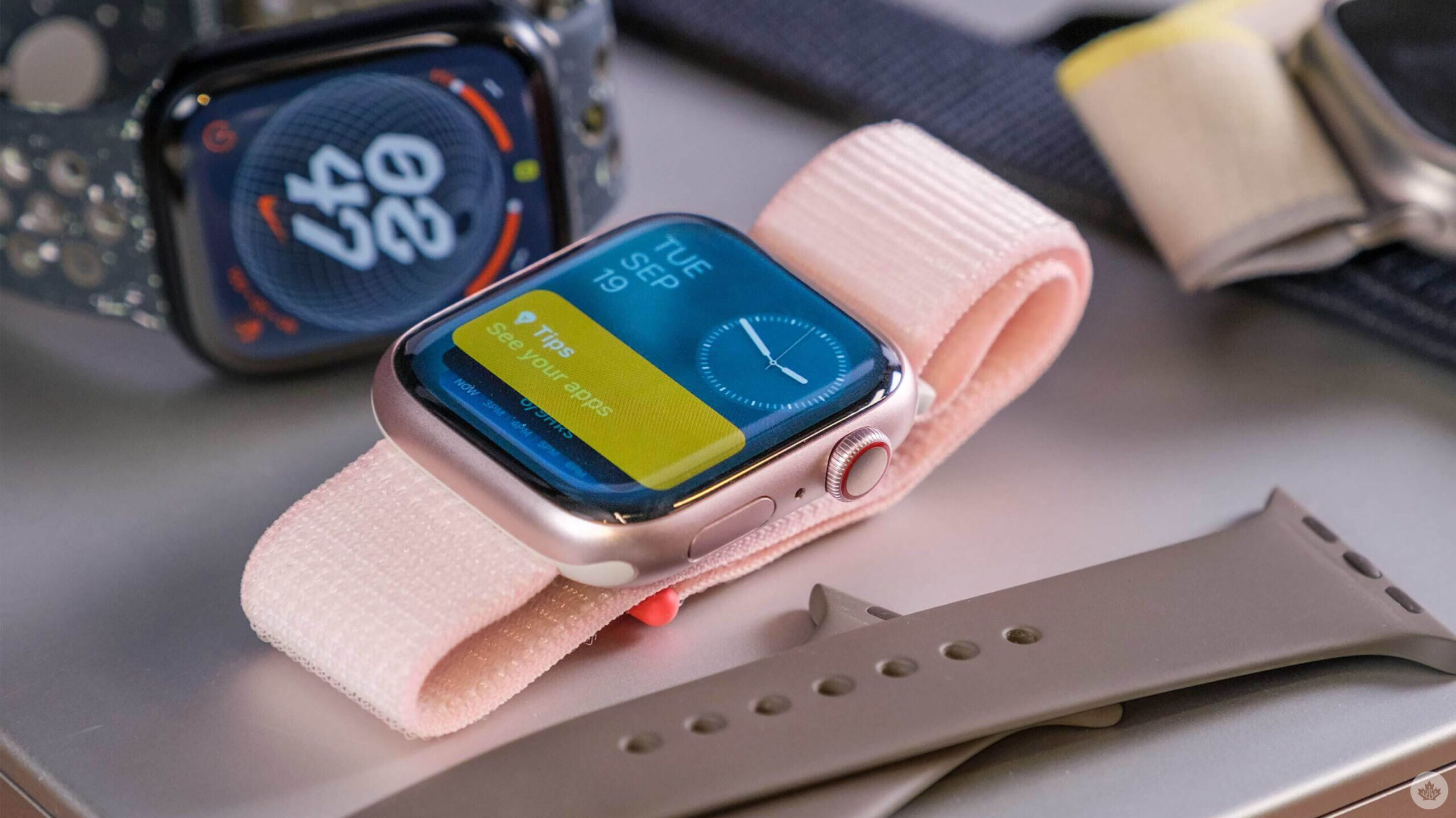 Everything you need to know about the Apple Watch