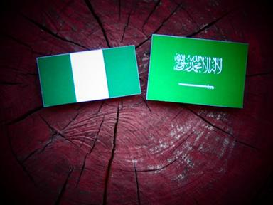 Saudi Arabia signs deal with Nigeria on sidelines of Saudi-Africa summit