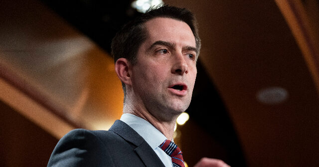 Cotton: Biden ‘Weakness’ Resulted in Americans Being Taken Hostage, Iran Attacking