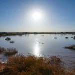 Rain Lakes Attract Desert Trip Enthusiasts in Al-Jouf