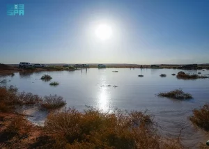 Rain Lakes Attract Desert Trip Enthusiasts in Al-Jouf