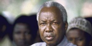 OPINION: Nyerere and contradiction called politics in Nigeria