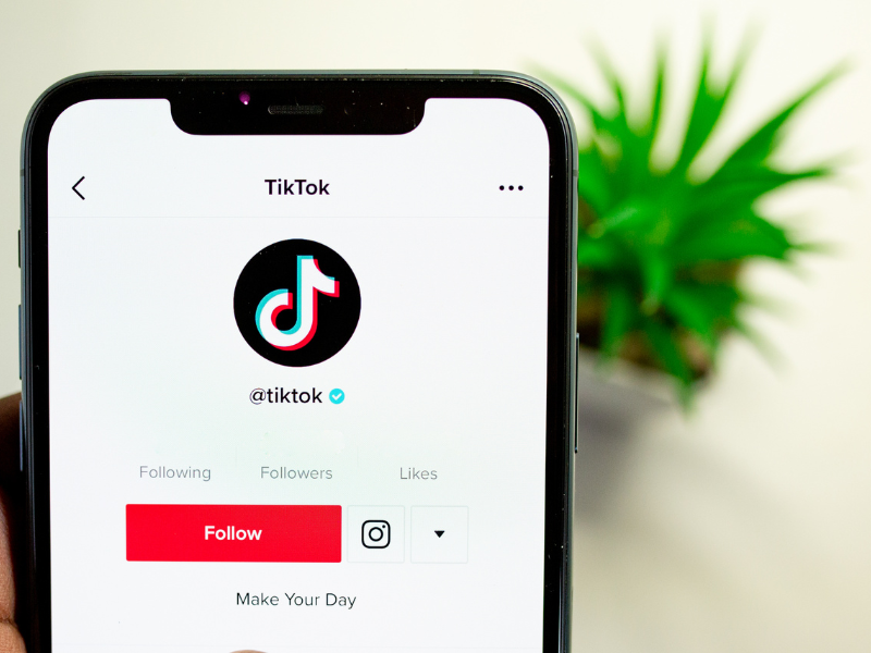 31 Top TikTok Influencers