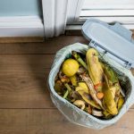 Halving food waste could cut 8% CO2 emissions in Europe