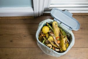 Halving food waste could cut 8% CO2 emissions in Europe