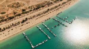 UAE sets new Guinness World Record for 52nd National Day