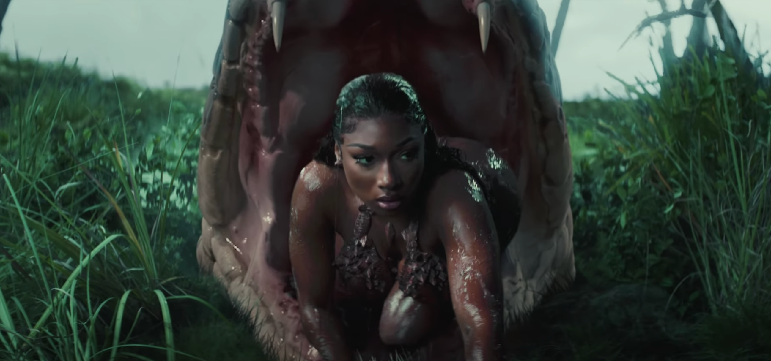 Megan Thee Stallion Shares Video for New Song “Cobra”: Watch