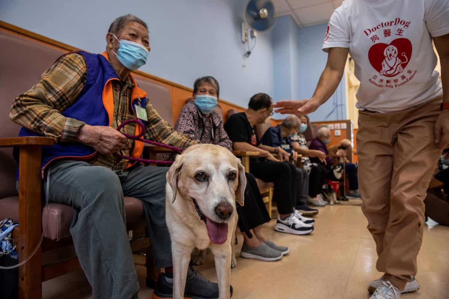 Disco, dogs help Hong Kong’s elderly out of post-Covid isolation