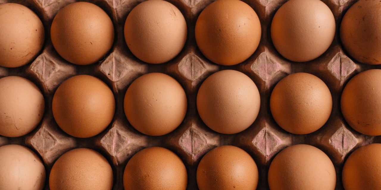 EGGFLATION NATION: Egg prices spike more than 13% in October as avian flu scrambles supplies