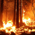 NASA MSI Incubator: Wildfire Climate Tech Challenge