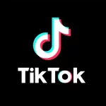 TikTok Challenges “Gatekeeper” Status in E.U.’s Digital Markets Act