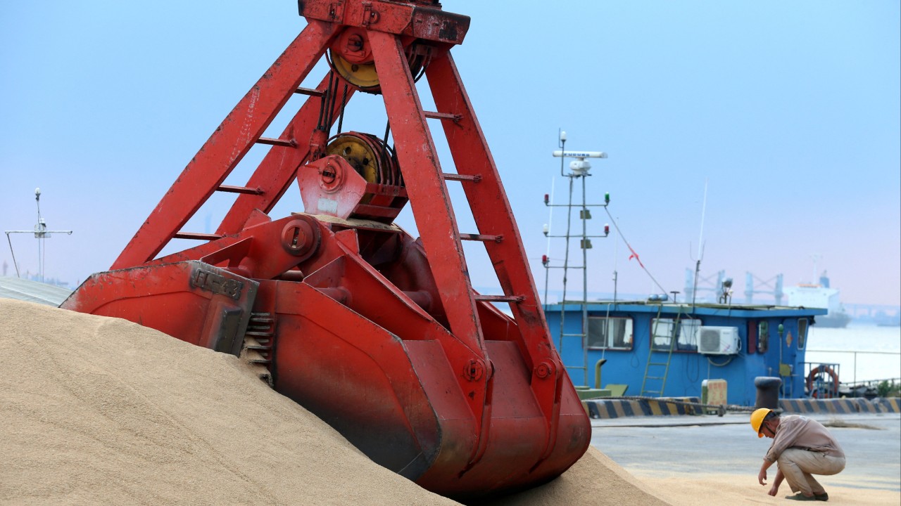 Can African soybeans help ease China’s reliance on US to feed insatiable demand?