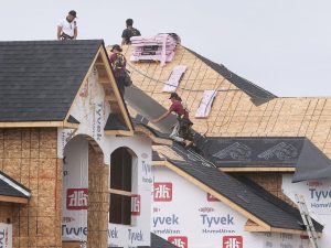 Brown-John: Democracy being ‘side-stepped’ in rush to build new homes