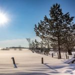 Experts are telling Canadian residents to expect warmer winters in some parts of the country this year