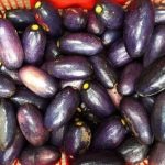 9 Potent Benefits Of Nigerian Pear (Ube)