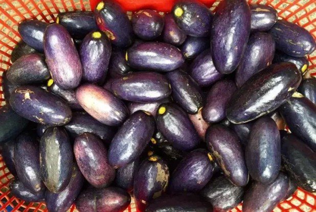 9 Potent Benefits Of Nigerian Pear (Ube)