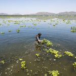 South Africa’s freshwater crisis persists