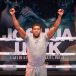 Anthony Joshua vs Otto Wallin media workout