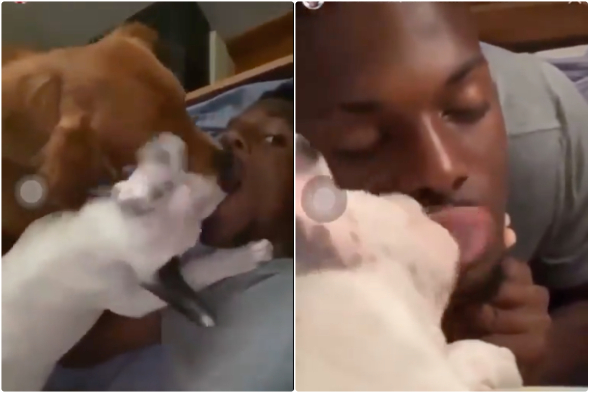 Nuno Tavares trends on X as video of Arsenal player kissing dogs with tongues goes viral