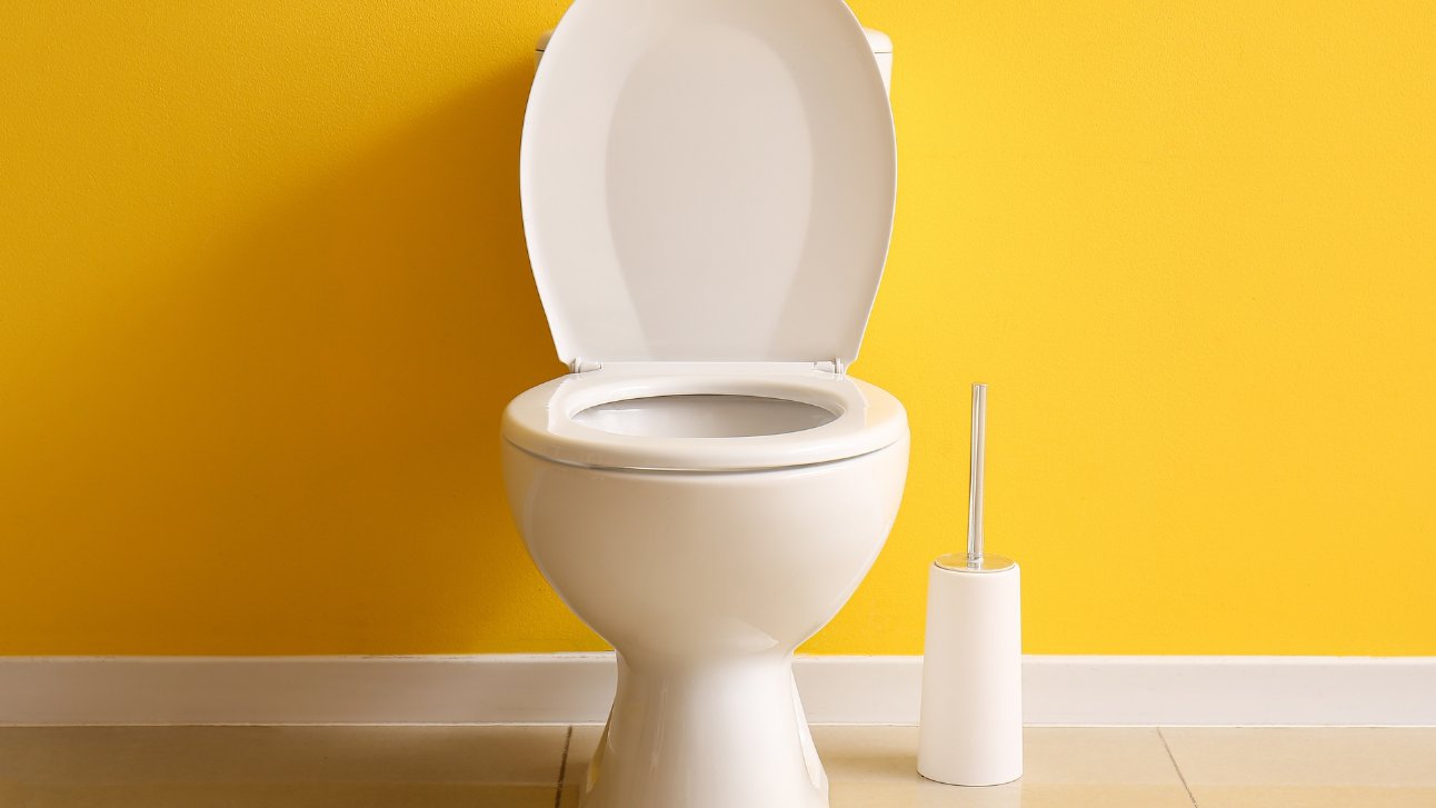 Why You Should Consider an Upflush Toilet