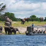 Five remarkable sightings you won’t believe you can experience from Africa’s rivers!