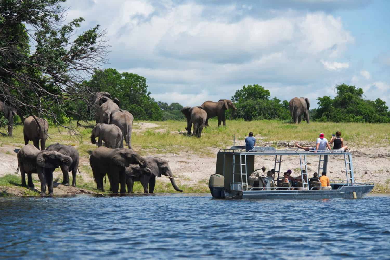 Five remarkable sightings you won’t believe you can experience from Africa’s rivers!