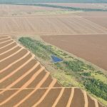 Major soy producers announce improved deforestation commitments—with caveats