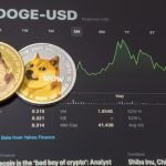 XRP and DOGE poised for significant upswings: analyst