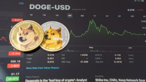 XRP and DOGE poised for significant upswings: analyst