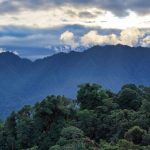 Science panel presents COP28 with blueprint for saving the Amazon