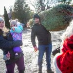 COVID, fires contribute to rising Christmas tree costs