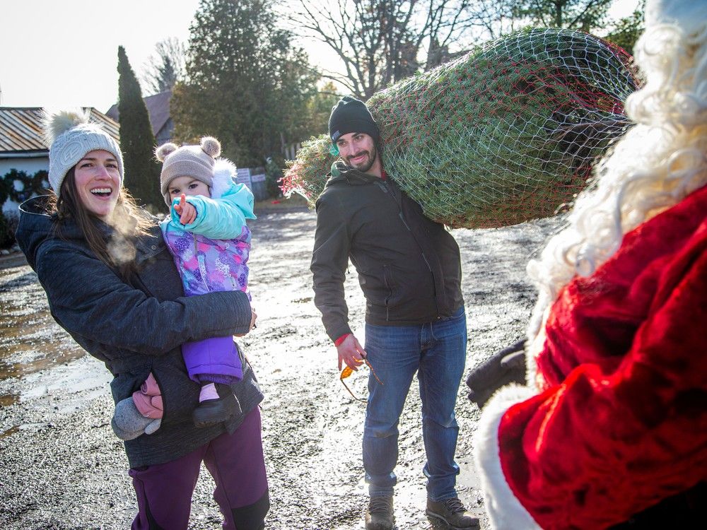 COVID, fires contribute to rising Christmas tree costs