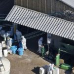 Japan detects season’s first bird flu case, to cull 40k birds: NHK, Asia News