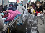 Another viral cover-up or the effects of China’s draconian lockdowns? Everything we know about the mystery pneumonia surge that Beijing kept quiet for five MONTHS