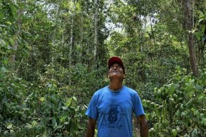 Community tropical forest management linked to social & environmental benefits: Study