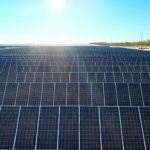 “A total solutions provider”: Trina Solar on its work in the mature Australian solar market