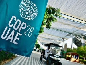 ‘Later is too late’: 800 CEOs, leaders seek strongest outcome in letter to COP28 President