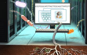 Unraveling Soil Microbes’ Carbon Usage: New Study | Mirage News