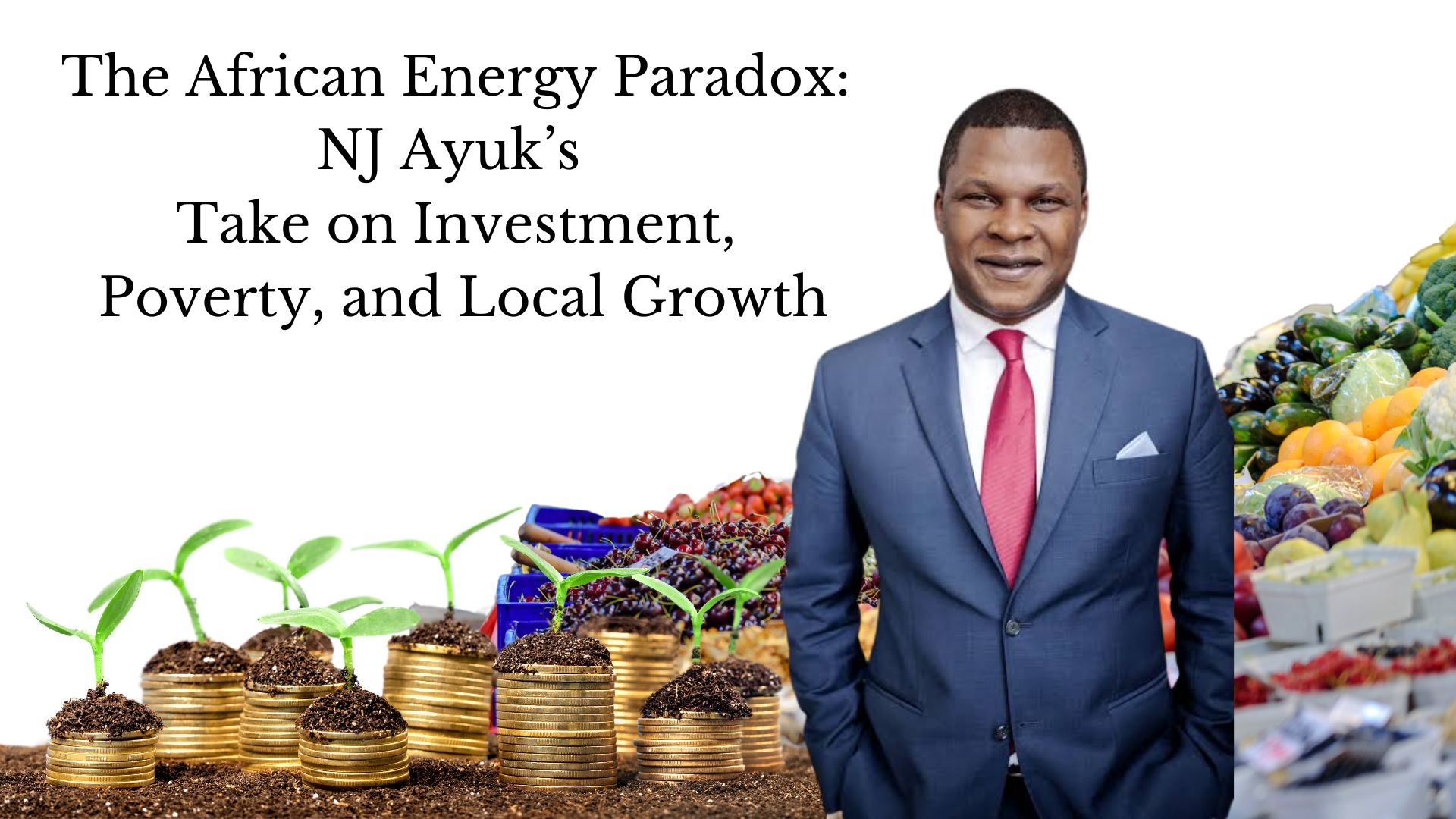 The African Energy Paradox: NJ Ayuk’s take on investment, poverty, local growth