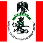 NDLEA seizes Europe-bound drugs concealed in tin 