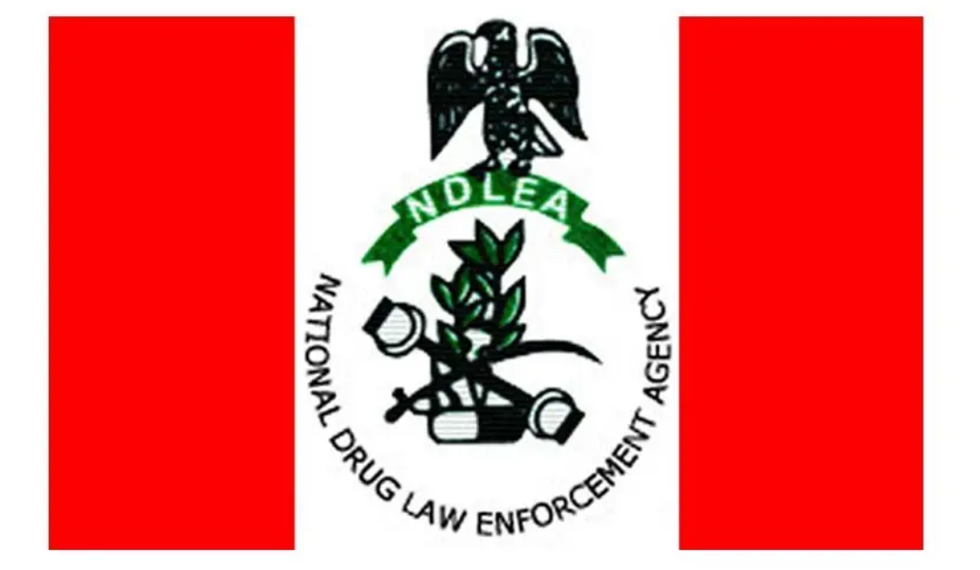 NDLEA seizes Europe-bound drugs concealed in tin 