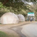 KSA Launches Platform for Camping Permits in Saudi Arabia