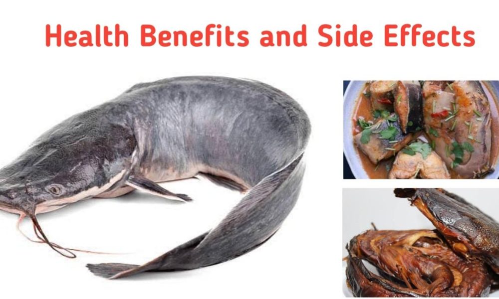 Here Are The Health Benefits of Eating Catfish.